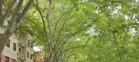 3 bedrooms Apartment in Xativa, Spain No. 175446 3