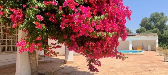 4 غرف نوم منزل في Mexilhoeira Grande, Portugal رقم 100139 38