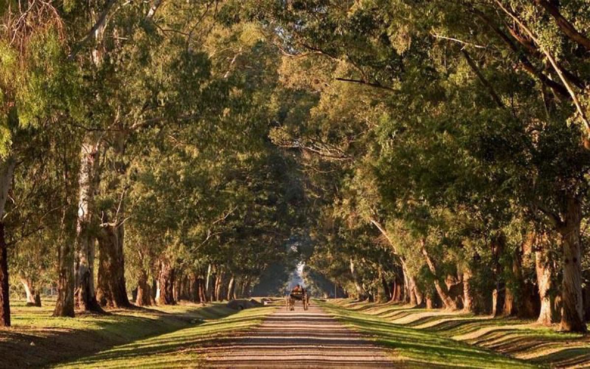  قطعة أرض في Ezeiza, Argentina رقم 40648