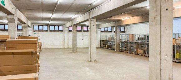 Bureau à Wels, Austria 699m² No. 204548 4