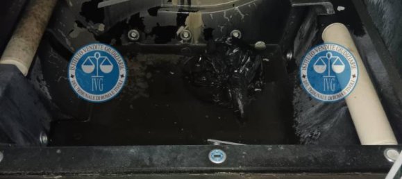 5-Zimmer Villa in Sant'Angelo Romano, Italy, Nr. 307509 26