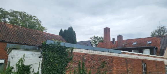 Propiedad comercial de 7 habitaciónes en Uelzen, Germany No. 149352 2