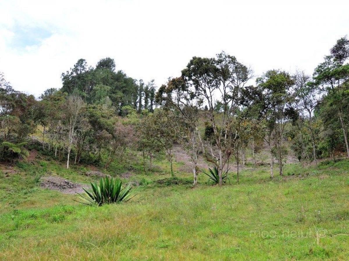 Grundstück in Antioquia, Colombia, Nr. 388