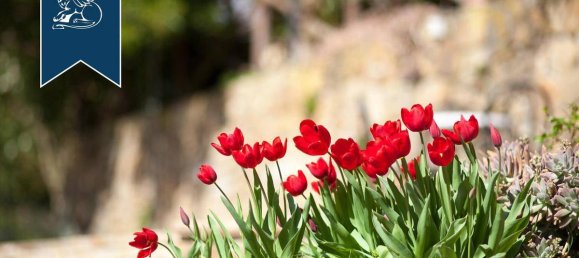 6 bedrooms Hotel in Cinigiano, Italy No. 17556 15