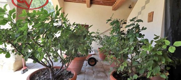 15 rooms Villa in Laterina Pergine Valdarno, Italy No. 231794 13