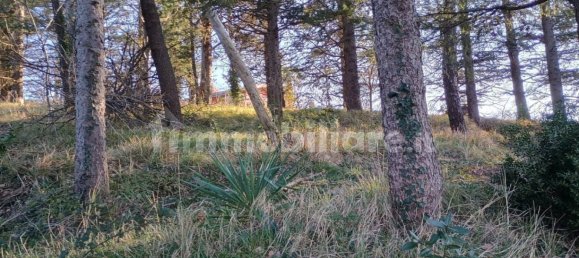 3 غرف نوم فيلا في Montescudo Monte Colombo, Italy رقم 205082 28