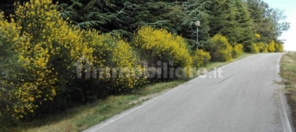 3 غرف نوم فيلا في Montescudo Monte Colombo, Italy رقم 205082 21