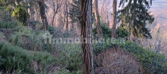 3 غرف نوم فيلا في Montescudo Monte Colombo, Italy رقم 205082 23