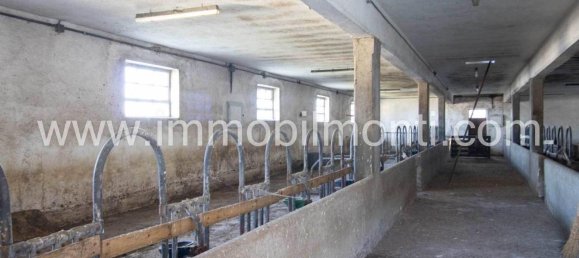 14غرفة منزل في Mombaldone, Italy رقم 38018 15