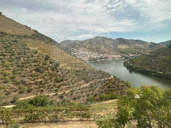 6 bedrooms House in Pinhao, Portugal No. 189241