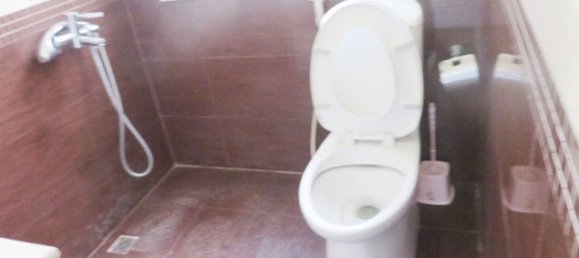 4 bedrooms Villa in Tay Ho, Vietnam No. 5281 11