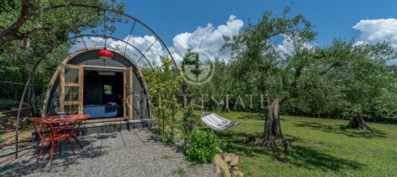 12 bedrooms Villa in Tuoro sul Trasimeno, Italy No. 79794 30