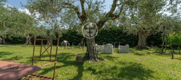 12 bedrooms Villa in Tuoro sul Trasimeno, Italy No. 79794 36