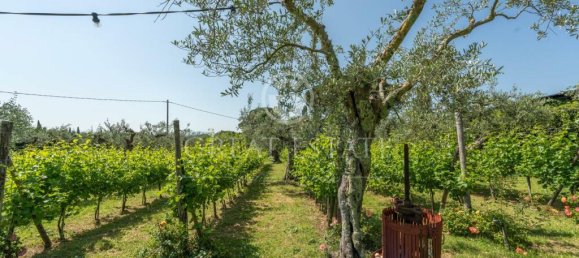 12 bedrooms Villa in Tuoro sul Trasimeno, Italy No. 79794 39