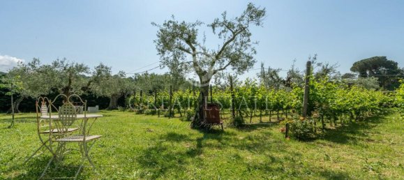 12 bedrooms Villa in Tuoro sul Trasimeno, Italy No. 79794 37