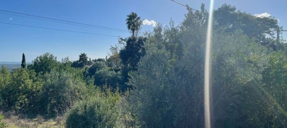 880m² Land in Loule, Portugal No. 129614 10