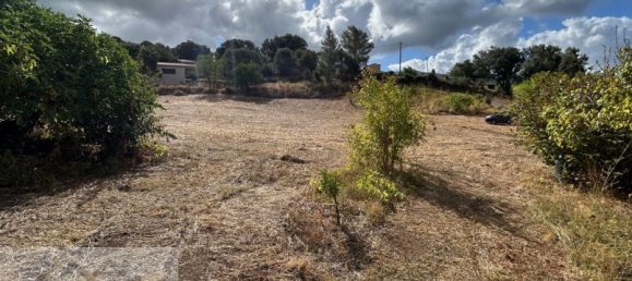 Terrain à Peri, France 1300m² No. 355889 3