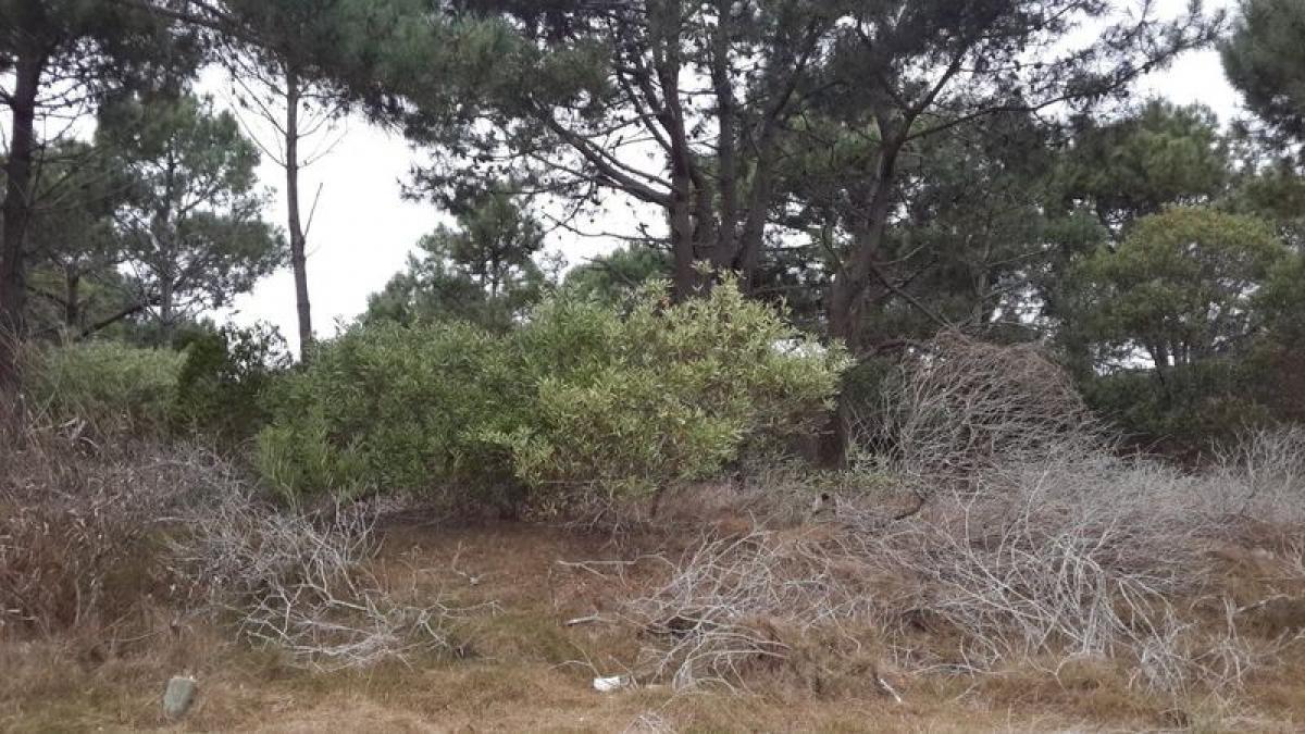 Terreno en Maldonado, Uruguay No. 14591