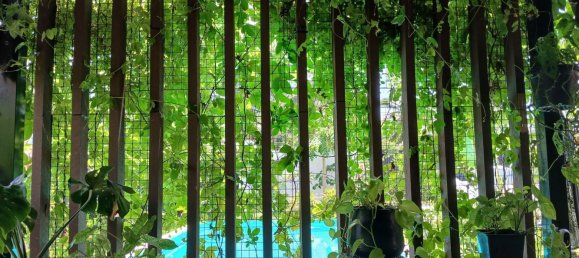  منزل في Phang Nga, Thailand 45متر مربع رقم 67974 13