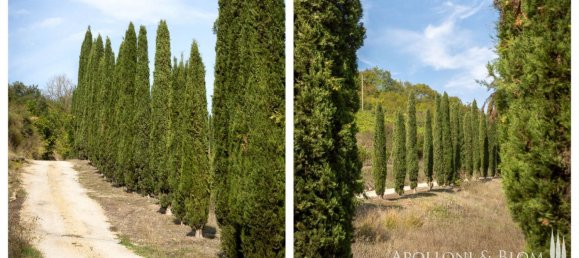 12 bedrooms House in Gaiole in Chianti, Italy No. 57551 45