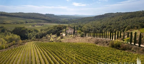 12 bedrooms House in Gaiole in Chianti, Italy No. 57551 3