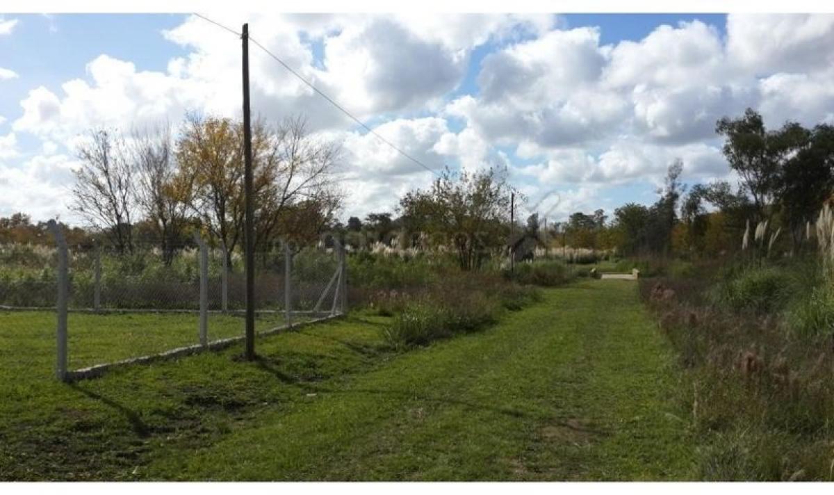  Land in Pilar, Argentina No. 41084