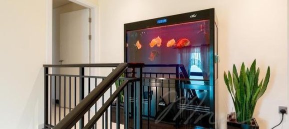 3 غرف نوم فيلا في دبي, UAE رقم 50659 7