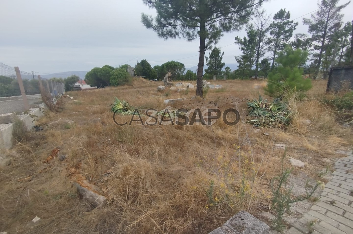 345m² Land in Mangualde, Portugal No. 299839