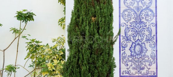 5 Schlafzimmer Villa in Malaga, Spain, Nr. 89198 19