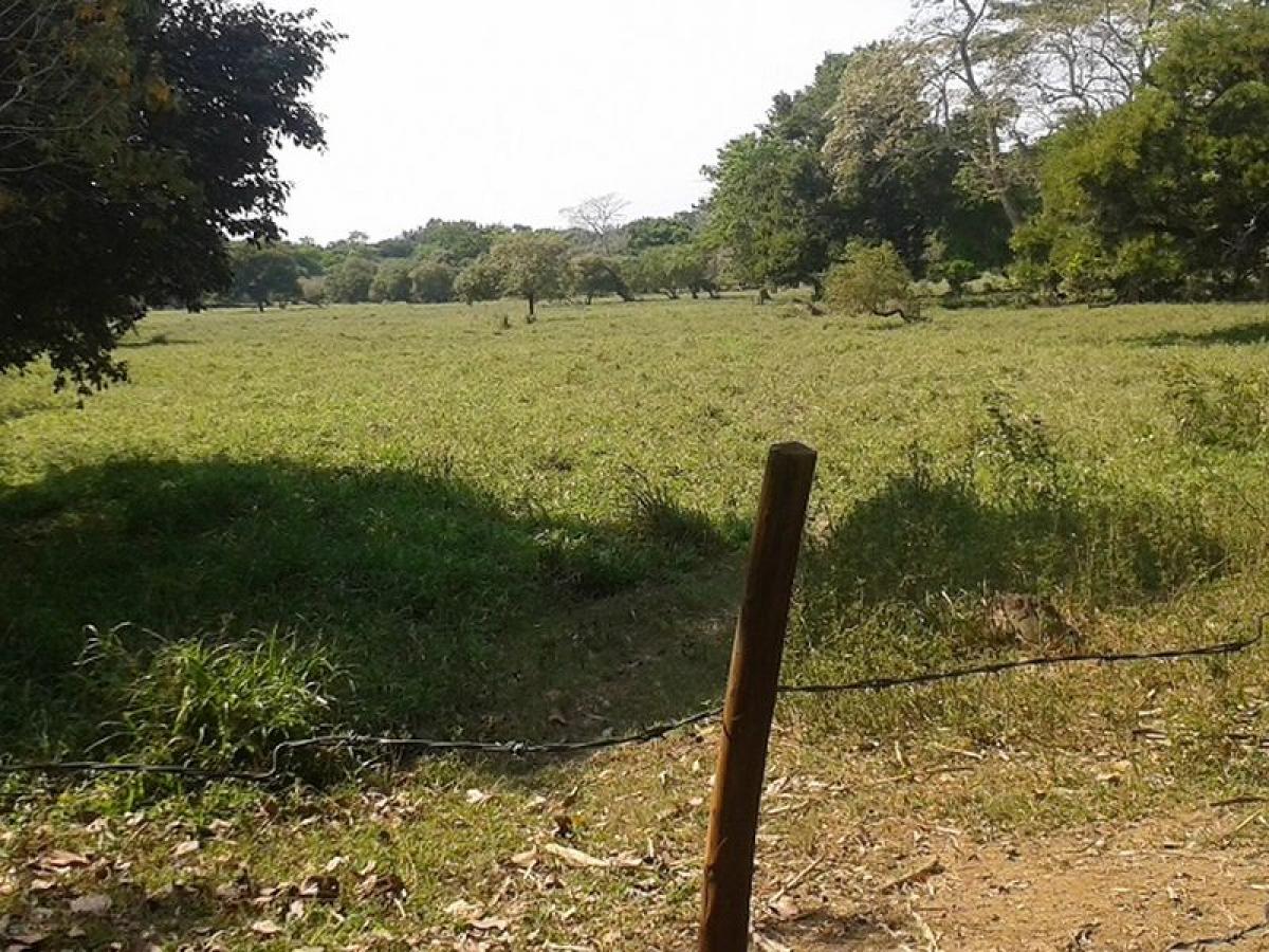 Grundstück in Veracruz, Mexico, Nr. 205170