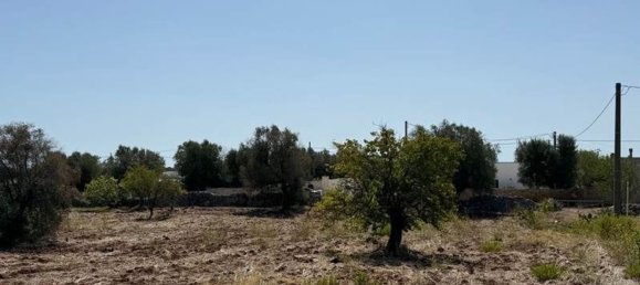 Casa de 1 dormitorio en Ostuni, Italy No. 324121 14