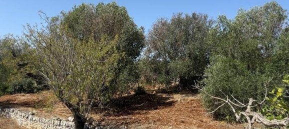 Casa de 1 dormitorio en Ostuni, Italy No. 324121 13