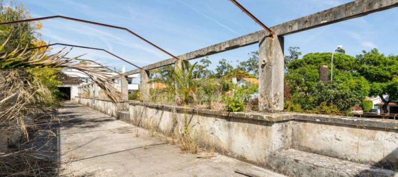 7 bedrooms House in Oeiras, Portugal No. 116780 14