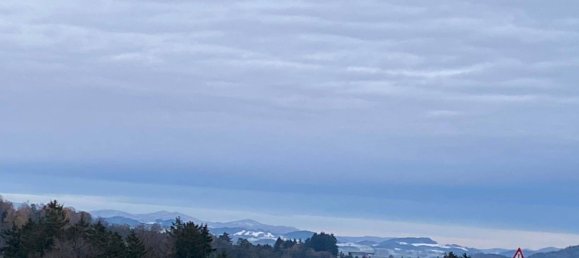 Terreno en Windhaag bei Perg, Austria No. 31470 2