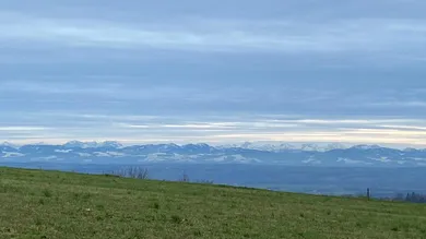 Terreno en Windhaag bei Perg, Austria No. 31470