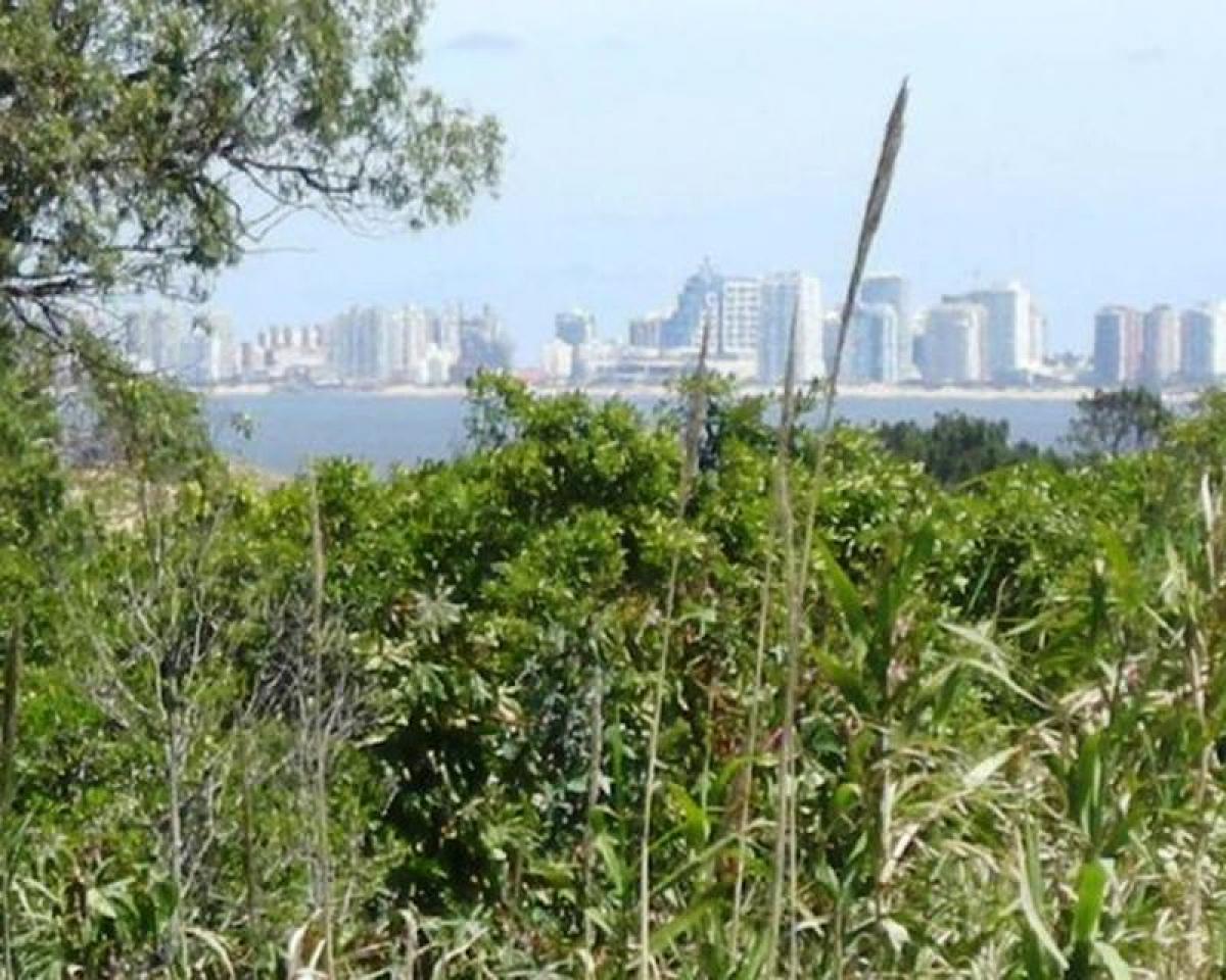  Land in Maldonado, Uruguay No. 15629
