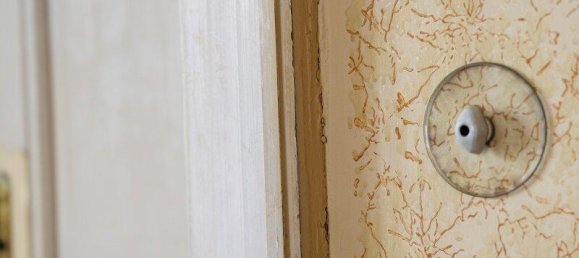 5غرفة شقة في Dobling, Austria رقم 184514 6