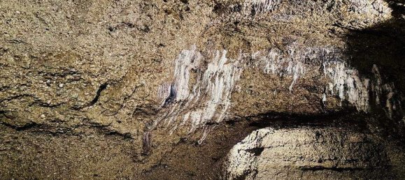 20-Zimmer Hotel in Franking, Austria, Nr. 223922 14