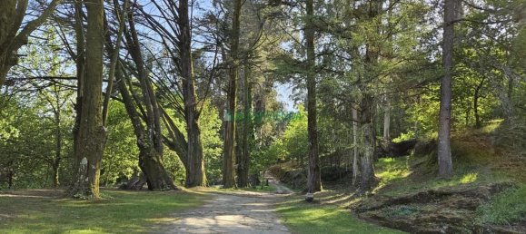 8 Schlafzimmer Haus in A Caniza, Spain, Nr. 163244 2