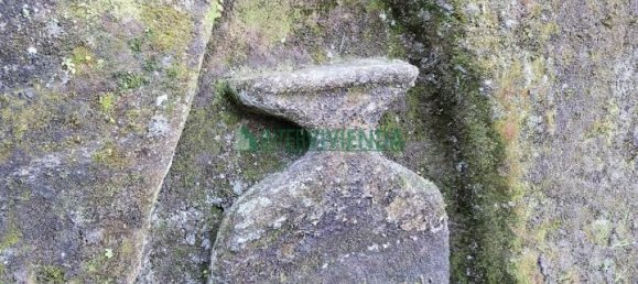 8 Schlafzimmer Haus in A Caniza, Spain, Nr. 163244 29