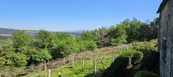 8 Schlafzimmer Haus in A Caniza, Spain, Nr. 163244 26