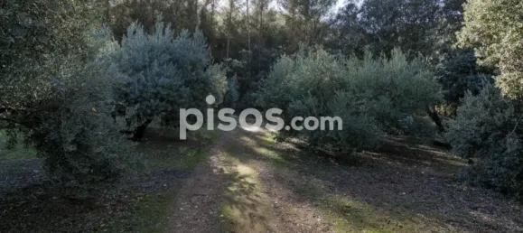 Terreno en Albolote, Spain No. 108057 10