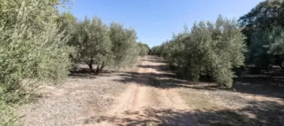 Terreno en Albolote, Spain No. 108057 5