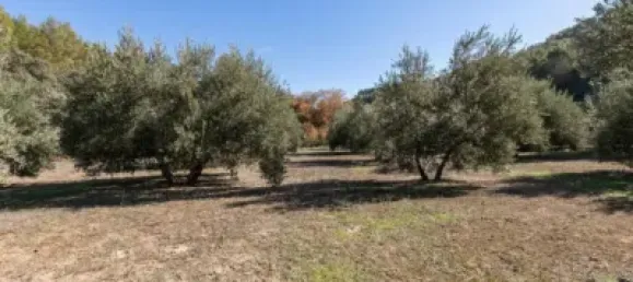 Terreno en Albolote, Spain No. 108057 11