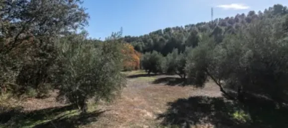 Terreno en Albolote, Spain No. 108057 2