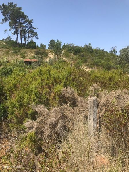 11000m² Land in Tomar, Portugal No. 221210