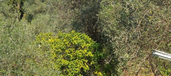 5 rooms Villa in Rapallo, Italy No. 65965 24