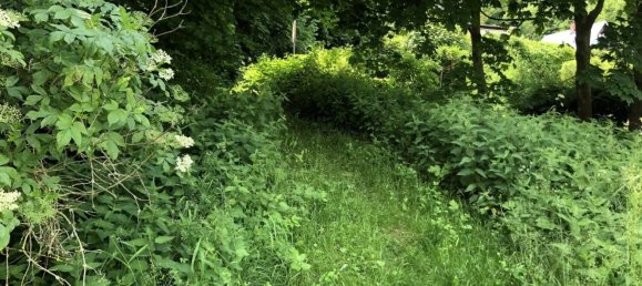 Земельный участок с 1 спальней в Зале-Орла, Германия № 212072 9