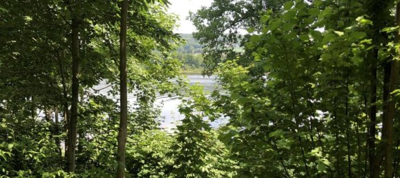 Земельный участок с 1 спальней в Зале-Орла, Германия № 212072 4