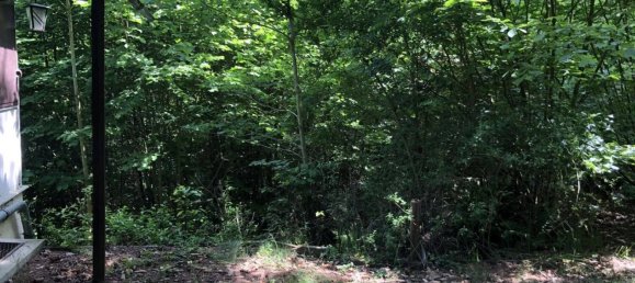 Земельный участок с 1 спальней в Зале-Орла, Германия № 212072 10